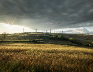 [Translate to bkw.de: DE:] Windpark Monticello