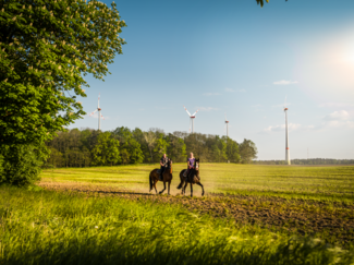 [Translate to bkw.de: DE:] Der Windpark Wulkow