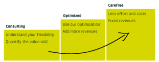 Scheme Services Flexible Assets